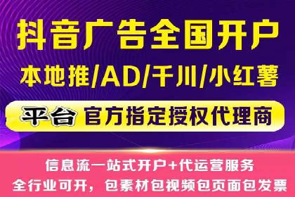 谷歌竞价广告与SEO结合的营销案例解析